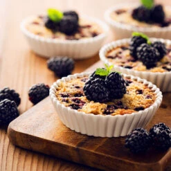 Thornless Blackberry -Garden Oasis Thornless Blackberry 2