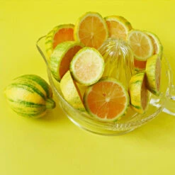 Pink Variegated Eureka Lemon Tree -Garden Oasis Variegated Pink Eureka 3 fc1d5a93 7ca6 443b a4e9 221de3f12f84